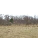 1551 LONGWOOD Drive  Woodstock IL 60098