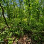 3888 Carlisle Drive  Crystal Lake IL 60012