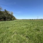 24230 6000 Road  Essex IL 60935