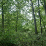 4820 Kopper Pond Road  Hanover IL 61041