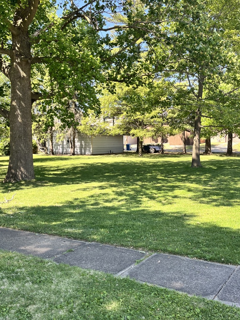 0 LaSalle Avenue  Ladd IL 61329