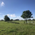 9814 Saint Andrews Drive  Marengo IL 60152