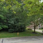 3 Merrimack Court Bolingbrook IL 60440