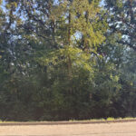 7319 Forest Oak Drive McHenry IL 60050