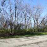 0 Southport Drive  Island Lake IL 60042