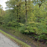0 Deerfield Road  Riverwoods IL 60015