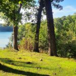 Lot 270 Elm Tree Drive  Varna IL 61375