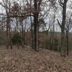 2643 DOGWOOD Road  Carbondale IL 62902