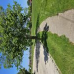 0 Kaper Drive  Cary IL 60013
