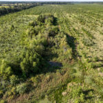 Tract 5 East Radio Tower Road  Clay City IL 62824