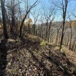 TBD Wann Street  Galena IL 61036