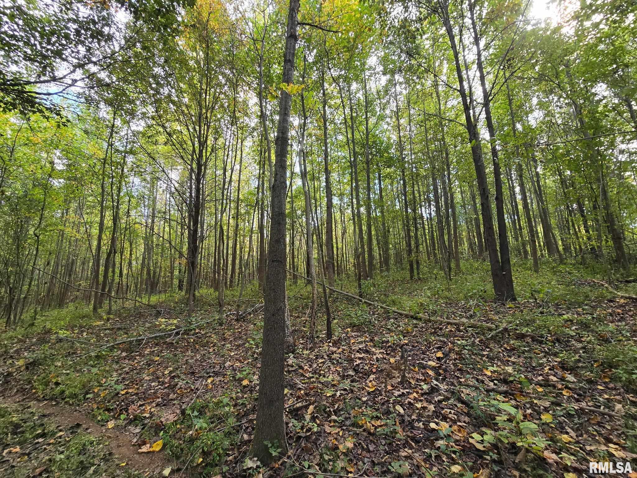 TBD State Highway 145 S Highway Metropolis IL 62960