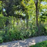 1549 Trumbull Avenue  Chicago IL 60623