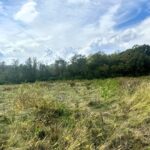 5048 Smokethorn Trail  Belvidere IL 61008