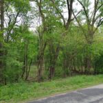 Lot4 Wisconsin Parkway  Delavan WI 53115
