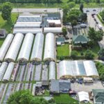 7117 Roberts Road  Bridgeview IL 60455