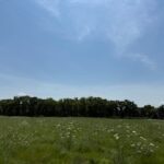 2209 Ann Lane  Woodstock IL 60098