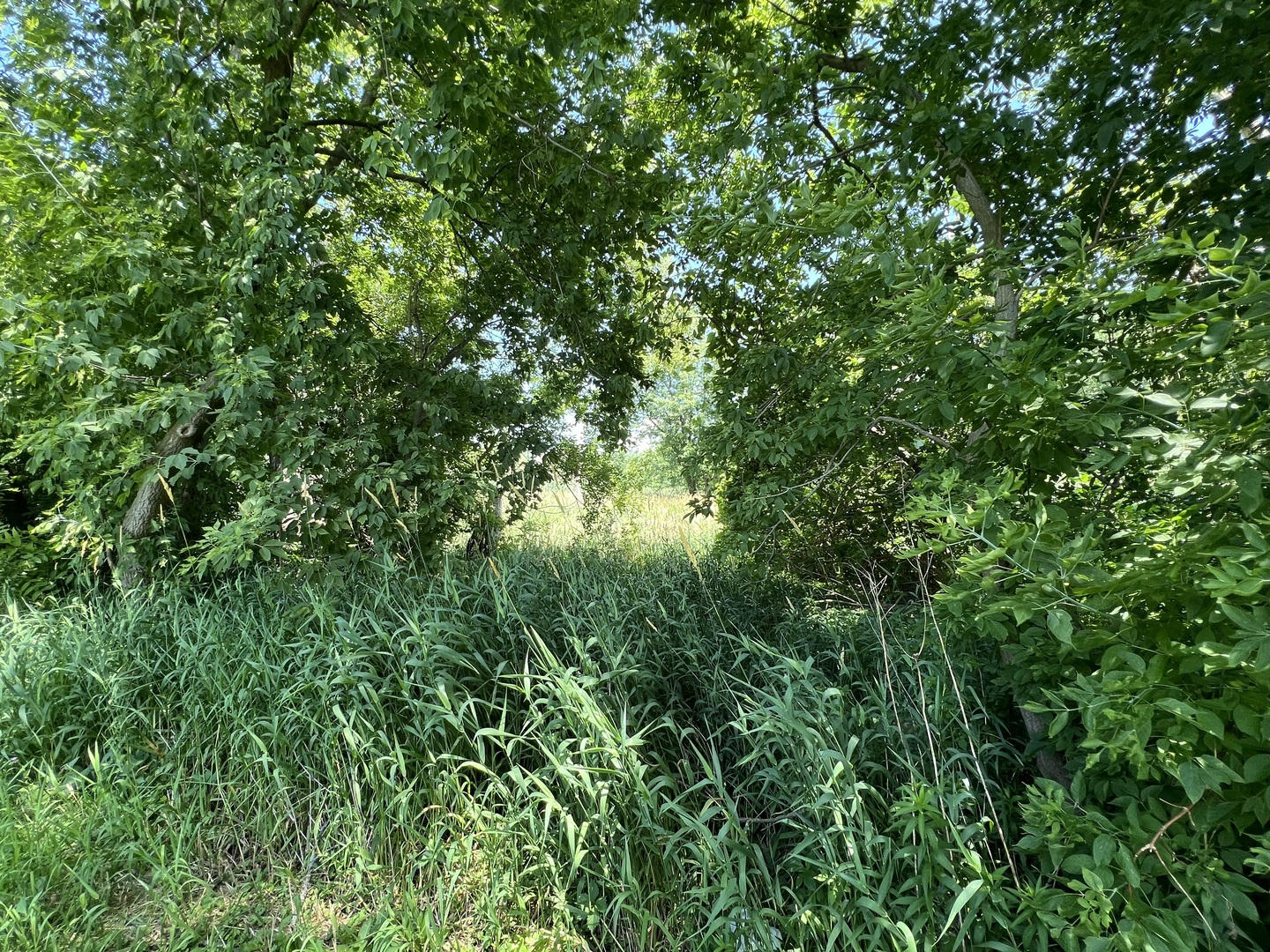 35025 Ingleside Drive  Ingleside IL 60041