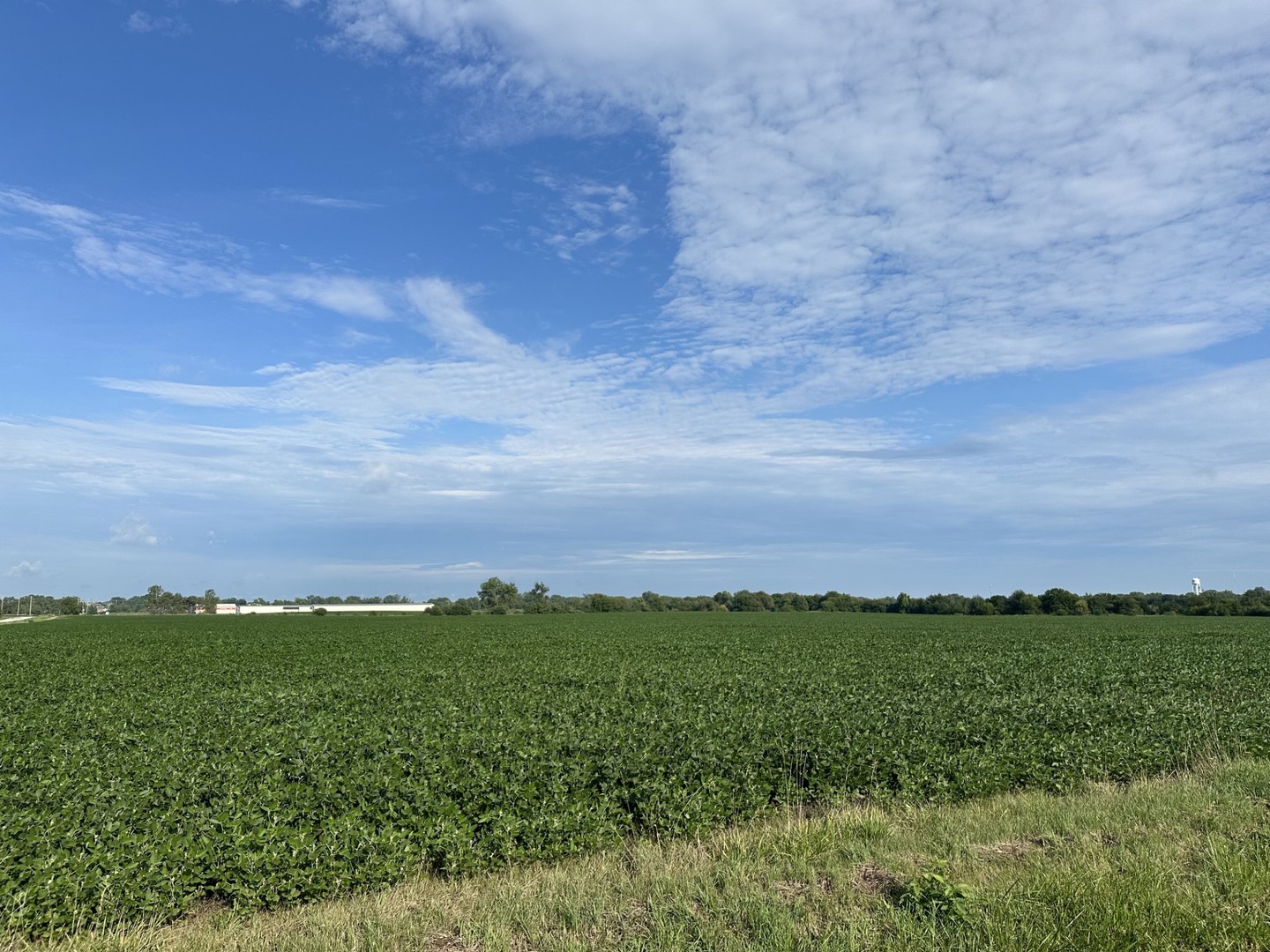 30 Acres Church and Racine Avenue Beecher IL 60401 30 Acres Church and Racine Avenue Beecher IL 60401