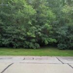 3 Merrimack Court Bolingbrook IL 60440