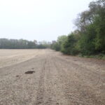 21111 550 Street  Sheffield IL 61361