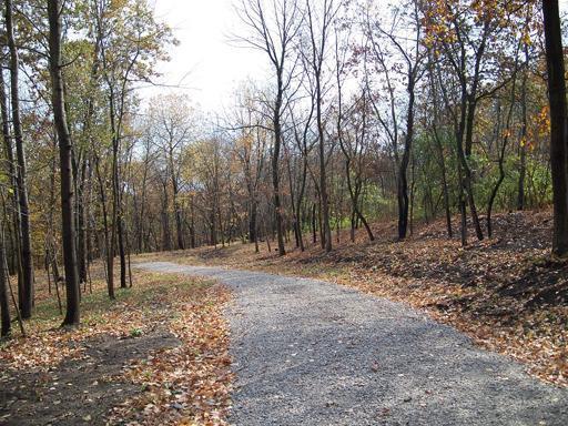 Lot #6 Thirty Foot Trail Road  Oglesby IL 61348