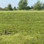 917 Wheatfield Avenue  Sugar Grove IL 60554