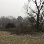 226 Fox Court  Apple River IL 61001