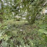 2841 89th Street  Chicago IL 60617