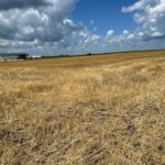 17 ROUTE Road  Varna IL 61375