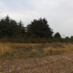 21111 550 Street  Sheffield IL 61361