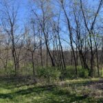 13 Hickory Trail Galena IL 61036