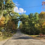 Lot 1783/84 Blueberry Drive  Varna IL 61375