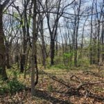 Lot 1668 Lakeside Court  Varna IL 61375