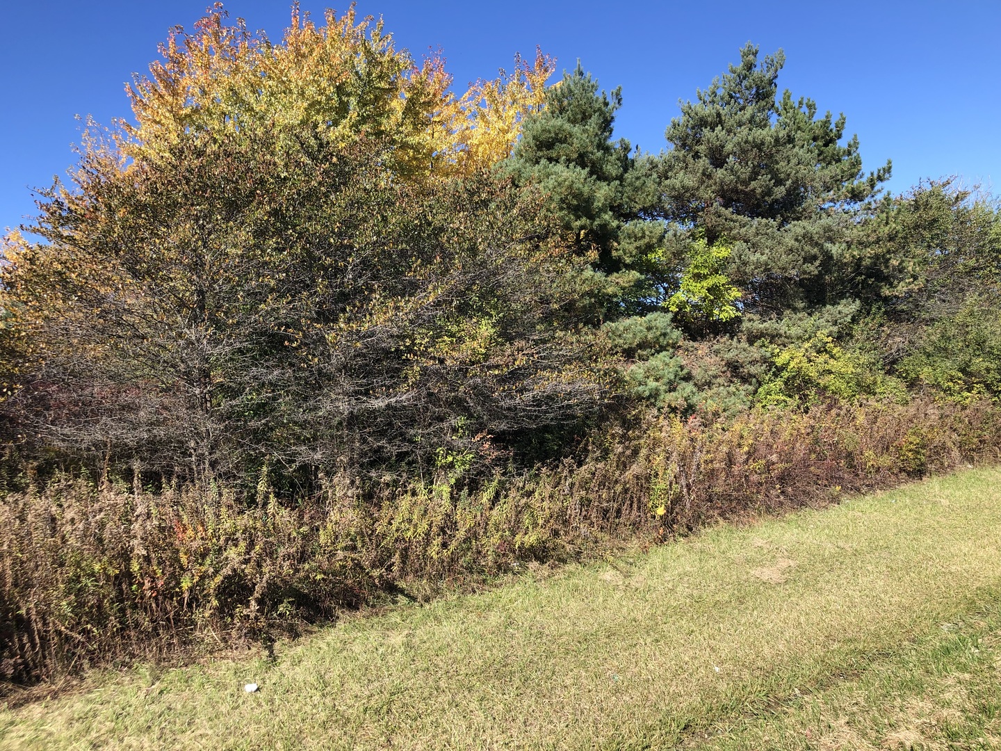 14067 Pratum Terra Drive  Wadsworth IL 60083