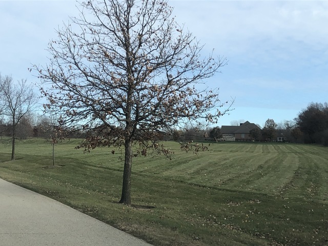 14916 Concord Court  Wadsworth IL 60083