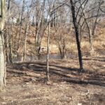 10735 E 1700 N 10735 E 1700 N Road  Pontiac IL 61764