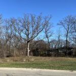 16961 Forest Glen Drive  Tinley Park IL 60477