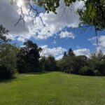 1119 Longvalley Road  Glenview IL 60025