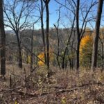 TBD Wann Street  Galena IL 61036