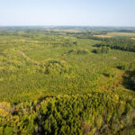 Tract 2 Mint Lane  Clay City IL 62824