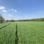 0000 Higgins Road  Hampshire IL 60140