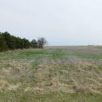 1388 N 4535th Road  Earlville IL 60518