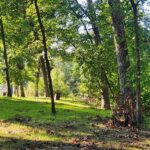 Lot 270 Elm Tree Drive  Varna IL 61375