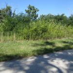 4 & 5 Nantucket Drive  Darien IL 60561