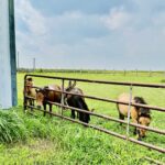 1146 N 2150th Road  Ottawa IL 61350