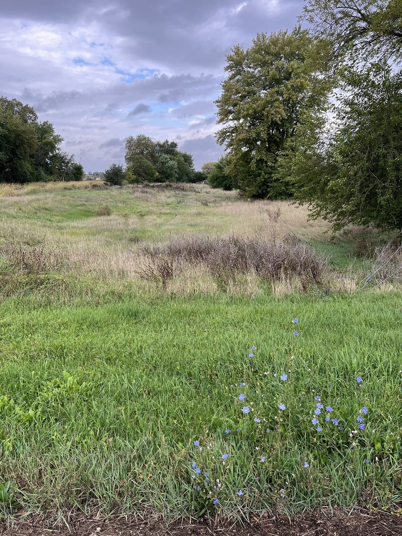 0 West Street  Kirkland IL 60146