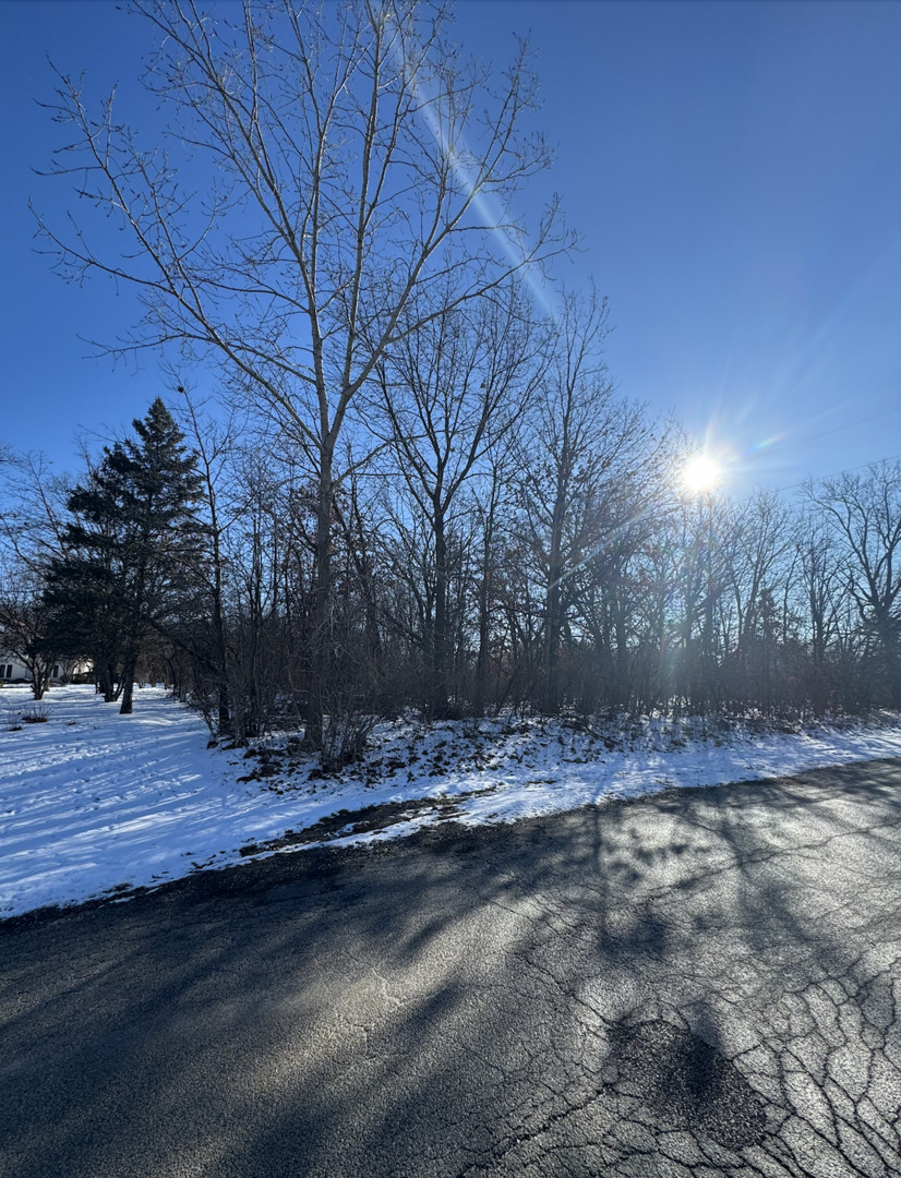 1365 Gordon Lane  Lemont IL 60439