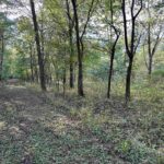 8206 Eakin Grove Road  Benton IL 62812