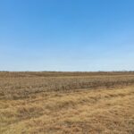 32309 Cedar Road  Manhattan IL 60442